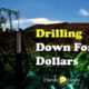 Harold Lloyd Presentations - Drilling Down for Sales Dollars